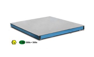 Básculas de Suelo de Alta Precisión