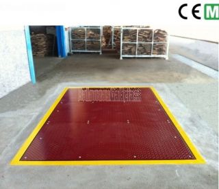 BG-ROBUS-R2 - Báscula de Alta Resistencia Con Visor para pesaje de toros y carretillas