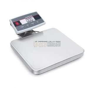 Báscula COURIER 5000 Plataforma Inox AISI304