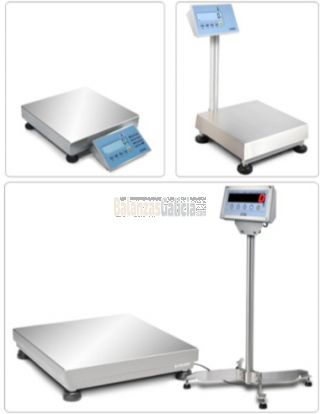 Plataforma pesaje totalmente en acero inoxidable IP67 BG-XTREMER + VISOR
