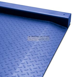 Báscula económica con rampas y visor R700