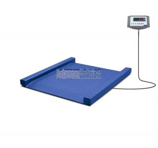 Báscula económica con rampas y visor R700