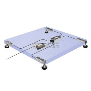 Kit pesaje digital - BG-CEL-8000