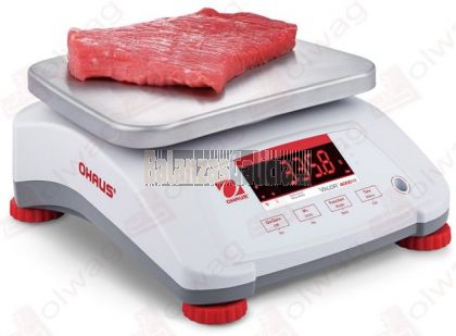 Precio de balanza para sales pesar alimentos