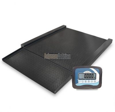 Báscula industrial con visor elevado WINTRONIX WX-T22