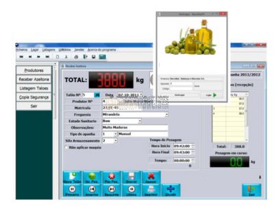 Software de Gestión - Recogida - Pesaje de aceite OLIVAGAL