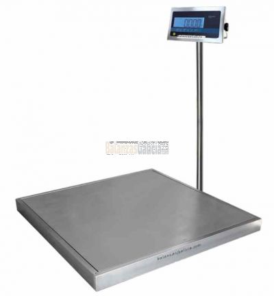 WINTRONIX WX-PTX - Báscula Industrial de Suelo homologada para zonas ATEX 2/22