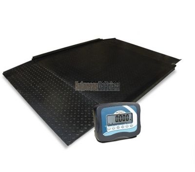 Plataforma de 4 células con dos rampas WINTRONIX WX-RM55