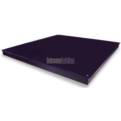 Plataforma de pesaje de Alta Resistencia WINTRONIX WX-ROBUS4-BA hasta 6.000kg