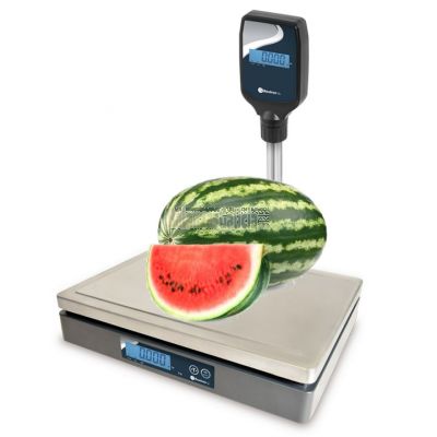 Balanza solo peso Verificada CE-M - WINTRONIX WX-SL con Columna
